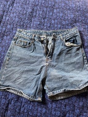 SHEIN Light Blue Denim Jean Shorts